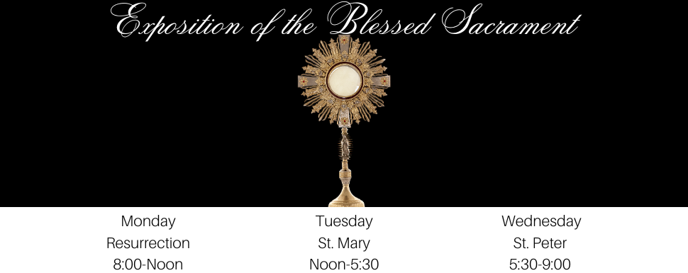 Slider Image 3